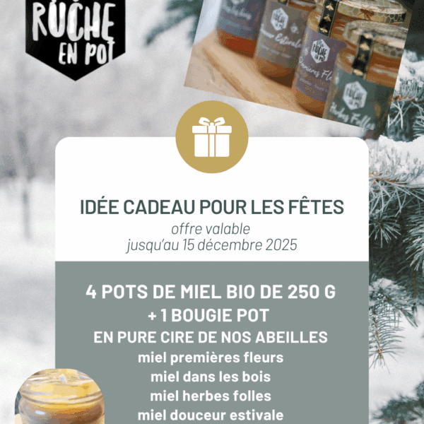 OFFRE FESTIVE 4 pots de miel Bio + 1 bougie pot en pure cire de nos abeilles